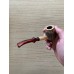 Cornell and Diehl Missouri Meerschaum Charles Towne Cobbler