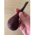 Hugo Pipes Le Rhodesian rustica semicurva